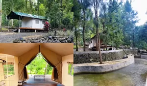 Dikelilingi Pepohonan Pinus, Membuat Glamping Baru Rasa Hotel di Subang Ini Suasananya Tenang dan Syahdu Abis!