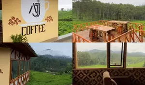 Tempat Nongkrong dengan Pemandangan Kebun Teh dan Suasana Alam Asri Ini Dijamin Bikin Betah Bengong di Sini!