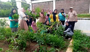 Hasil Panen P2L Kampung Caraka di RT2 RW3 Kelurahan Sawangan Kota Depok jadi Asupan Stunting