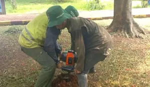 101 Bio Kompos Segera Hiasi Kelurahan Mampang, Lurah : Setiap RT RW Kebagian 6 Alat