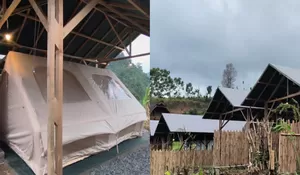 Gak Hanya Resto dan Villa! Ada Glamping Tenda Estetik dengan Pemandangan Hamparan Sawah yang Sejuk Banget!
