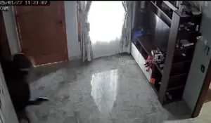 Senjata Perampok Rumah Anggota Polisi di Cilodong Depok Berbunyi Halus