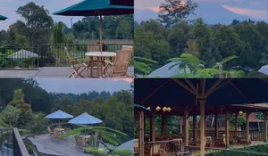 Makan Durian Premium Langsung dari Kebunnya di Puncak! Bisa Santai di Coffee Shop Joglo Juga lho