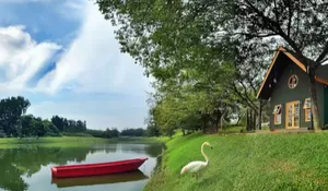 Tempat Nongki Pinggir Danau di Depok yang Vibesnya kaya Masuk ke Negeri Dongeng!