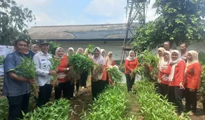 Kelurahan Mampang Depok Panen Raya : Hasilkan 4 Ribu Ekor Lele dan 25 Kilogram Kangkung 