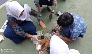 Perdana! SMPN 26 Depok Berjuang Rengkuh Penghargaan Adiwiyata 