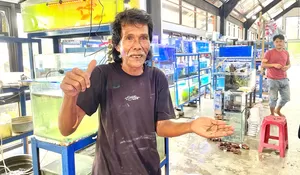 Ngabuburit di Kios Ikan Milik Ahmad Sanusi : Jajakan Ikan Fahaka dari Sungai Nil, Satu-Satunya di Taman Secawan