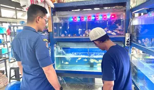 Serba Serbi Ikan Hias di Taman Secawan Pancoranmas Kota Depok : Pamerkan Seribu Jenis Ikan, Destinasi Ngabuburit yang Ciamik