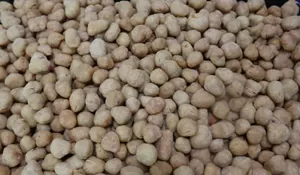 Tesktur Renyah, Gurih dan Manis dari Kacang Telur Ini Dijamin Bikin Gak Bisa Berhenti Makan!