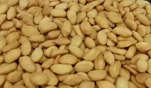 Dijamin Gak Keras, Cocok untuk Cemilan Lebaran! Begini Resep Biji Ketapang yang Tekstur Renyah dan Manis