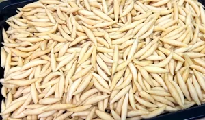 Ayo Buat Telur Gabus Keju yang Gurih dan Renyah Ini dengan 4 Bahan Saja!