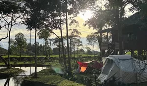 Liburan di Pogayo Camp, Langsung Disuguhi Hamparan Kebun Teh yang Bikin Healing Tambah Betah!