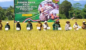 Bupati Bogor Rudy Susmanto Panen Raya Padi di Jonggol, Sukseskan Ketahanan Pangan