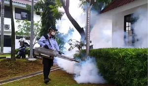 Demam Berdarah Serang Bogor : 550 Kasus, 3 Orang Meninggal, Ini Faktanya!