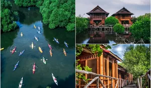 Sudah Tahu? Ternyata Sobat Depok Bisa Staycation Bak Hutan Amazon di Jakarta!