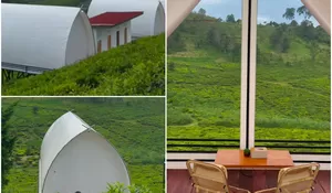 Auto Betah! Syahdunya Menginap di Glamping di Tengah Hamparan Kebun Teh 360 Derajat Bandung Ini
