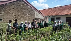 Proklim Kelurahan Mampang Depok Bidik Panen Dalam Dua Bulan, Intip Sayuran dan Ikan yang Dibudidaya!
