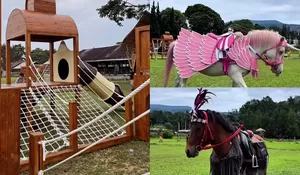 Habiskan Liburan Seru Bersama Keluarga di De Landden Lembang, Suasana Sejuk dan Bisa Naik Kuda Ala Unicorn!