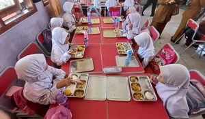 Waspada MBG Beracun! Kabupaten Bogor Periksa 24 SPPG