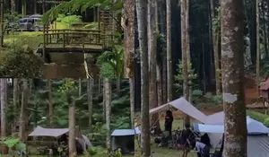 Liburan Sekolah Seru ke Kasumi Resort! Tempat Camping Nyaman di Tengah Pohon Pinus dan Sungai Buatan yang Bikin Si Kecil Betah