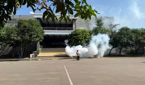 Duh Ngeri! Tiga Warga Leuwiliang Bogor Terkapar Disengat Nyamuk DBD