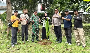 Peran Lurah Depok Jaya, Herliana Maharani Bagi Lingkungan : Targetkan 20 Bibit Pohon, Sebar Luaskan Manfaatnya