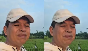 Dedi Mulyadi Ungkap Alasan di Sekolah Swasta Sepi Murid, Padahal Banyak Anak Tak Sekolah