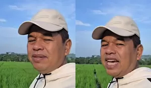 Tanggapi Warga Jabar yang Diperlakukan Tidak Adil dan Tidak digaji di Batam, Dedi Mulyadi Siap Turun Tangan