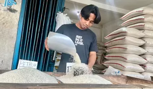 Pasokan Beras di Depok Tersendat, Ternyata Ini Sebabnya! 