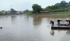  Kembalikan Fungsi Ekologis, Pemkot Depok Segera Revitalisasi Situ Sidomukti dan Situ Cilodong