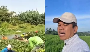 Ini Respon Dedi Mulyadi Terhadap Petani Karawang yang Kesulitan Membersihkan Eceng Gondok di Saluran Irigasi