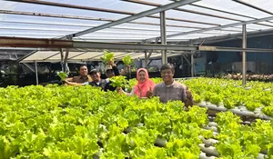 Lurah Curug Bojongsari Depok, Ahmad Sofyan Genjot Agribisnis : Tekan Stunting Hingga Perputaran Ekonomi Nantinya