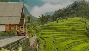 Kapan Lagi Bisa Nginep Disuguhi Pemandangan Hamparan Terasering Sawah dengan Harga Rp 35 Ribu Per Orang di Bogor!