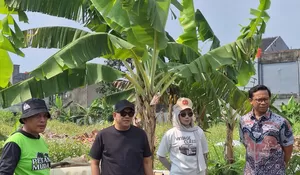 Panen Kangkung bersama Petani di Tapos, Wakil Ketua DPRD Depok Yeti Wulandari Ingin Pastikan Kesejahteraan Petani dan Gizi Rakyat Terjamin