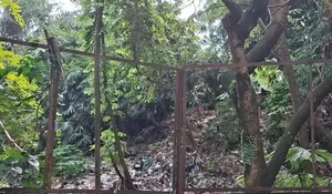 Mengikuti Kegiatan Menteri LHK di Kelurahan Sukatani Depok : Susuri TPS Liar, Ajak Warga Jaga