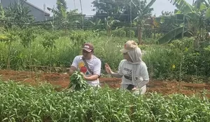 Gaungkan Nawacita Presiden Prabowo Subianto, Wakil Ketua DPRD Depok Yeti Wulandari Bakal Jadikan Tapos Lumbung Sayur Bergizi