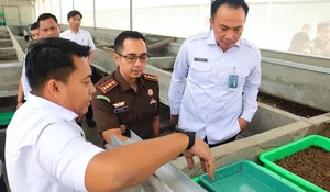 Perkuat Sinergi Penegakan Hukum, Lapas Cibinong Terima Kunjungan Perdana Kajari Bogor : Lihat Maggot dan Pertanian Organik