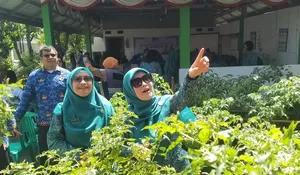 Agribisnis Kelurahan Pengasinan Wakili Kecamatan Sawangan di Binwil Tingkat Kota Depok 2025, Manfaatkan Fasos Fasum Seluas 4.100 Meter Persegi