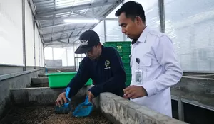 Lapas Cibinong Hasilkan 300 Kg Maggot : Solusi Cerdas Atasi Sampah Organik