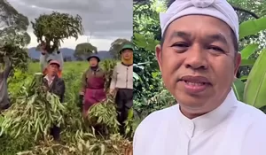 Dedi Mulyadi Tegaskan Akan Tindak Pelaku Perusakan Lingkungan di Jawa Barat