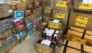 UI Peduli, Galang Solidaritas bagi Korban Bencana Alam : Salurkan Bantuan ke Warga Terdampak Erupsi Semeru dan Banjir Sumatera