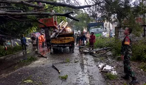 Pohon Tumbang Sempat Lumpuhkan Jalan Raya Muchtar, Satgas DLHK Kota Depok Langsung Gercep Lakukan Penanganan  