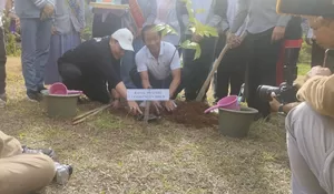 Pengelolaan Sampah Kacau, KLH Keluarkan Surat Paksaan untuk Bupati dan Wali Kota