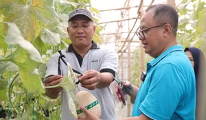 Pj Wali Kota Bekasi Raden Gani Muhamad Apresiasi Panen Raya Melon Besutan KWT