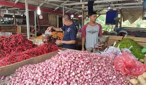 Omzet Pedagang Turun 50 Persen, Ini Penyebab Harga Cabai di Kota Bogor Meroket