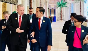 Digandeng Presiden Turki Erdogan, Jokowi Sepakat Kerja Sama Wujudkan Kemerdekaan Palestina