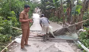 Lewat Samisade, Jalan Poros Tengah Kampung Sawah di Rumpin Bogor Dibeton
