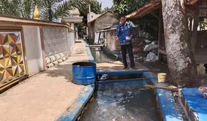 Keren Nih! Warga Bogor Ubah Saluran Irigasi Jadi Kolam Ikan Nila