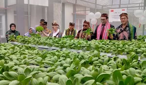 Bantu Ketahanan Pangan di Bogor, TIKA Turki Kirim Bantuan Green House ke Desa Purwasari