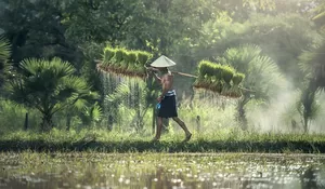 Bukan Indramayu atau Karawang, Ini 3 Daerah Penyumbang Petani Milenial Terbanyak di Jawa Barat